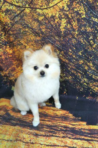 img_20201103_121326