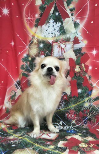 img_20201206_152931