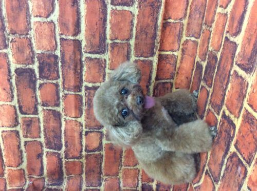 29a7bafd-9556-4f41-aedc-087a13ae5ea6