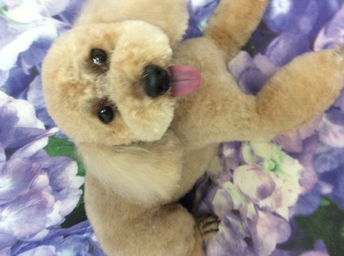 5d7b904a-df50-4c6c-b365-512639c60440