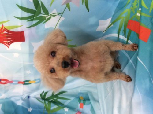 75acb30e-d9c4-4536-864c-c12f60832ef0
