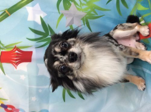 6a33d612-fd12-41d1-b6b5-a7cc64c69c45