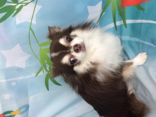 dc5e9400-e436-4c99-994e-c4c90fa36124