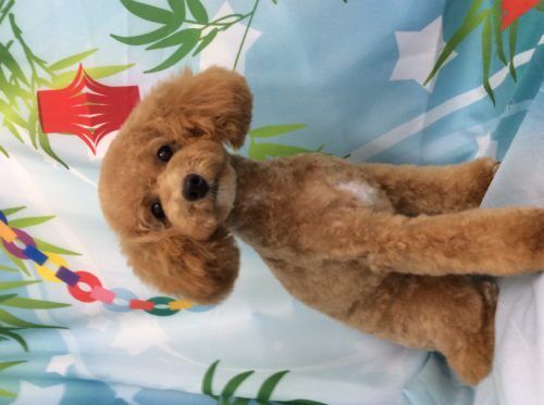 ec9eaa82-d545-40d1-bb0d-d16868db87d9