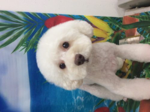 ac3357fb-f00b-4784-b738-f4cd72cc4ca7