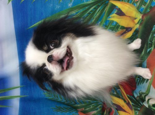 344895d8-8aec-4bec-bba9-99c1bba680dc